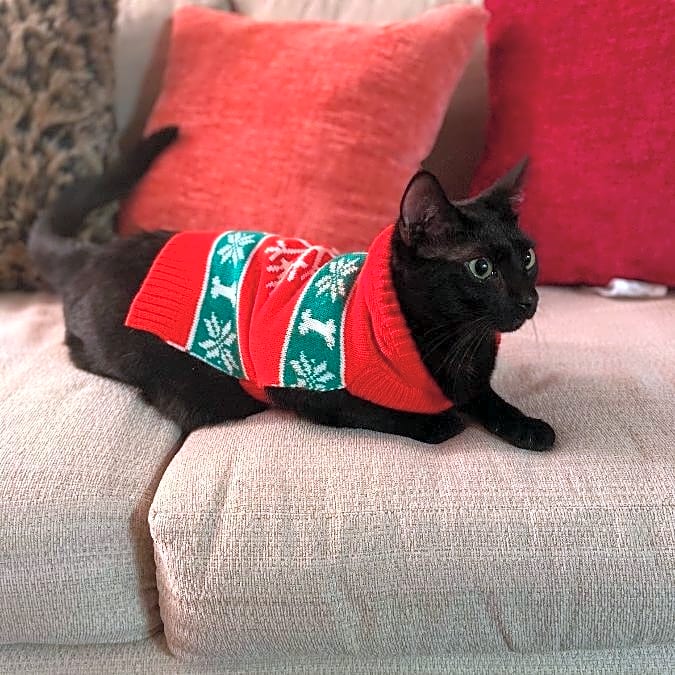 Photo of Jasper