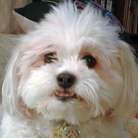 Photo of Coco Chanel