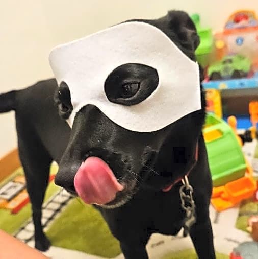 Photo of Luna