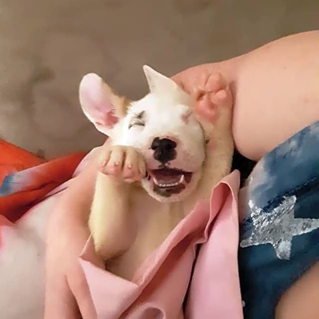 Photo of Jax