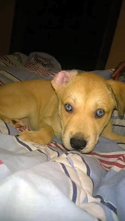 Photo of Stormy
