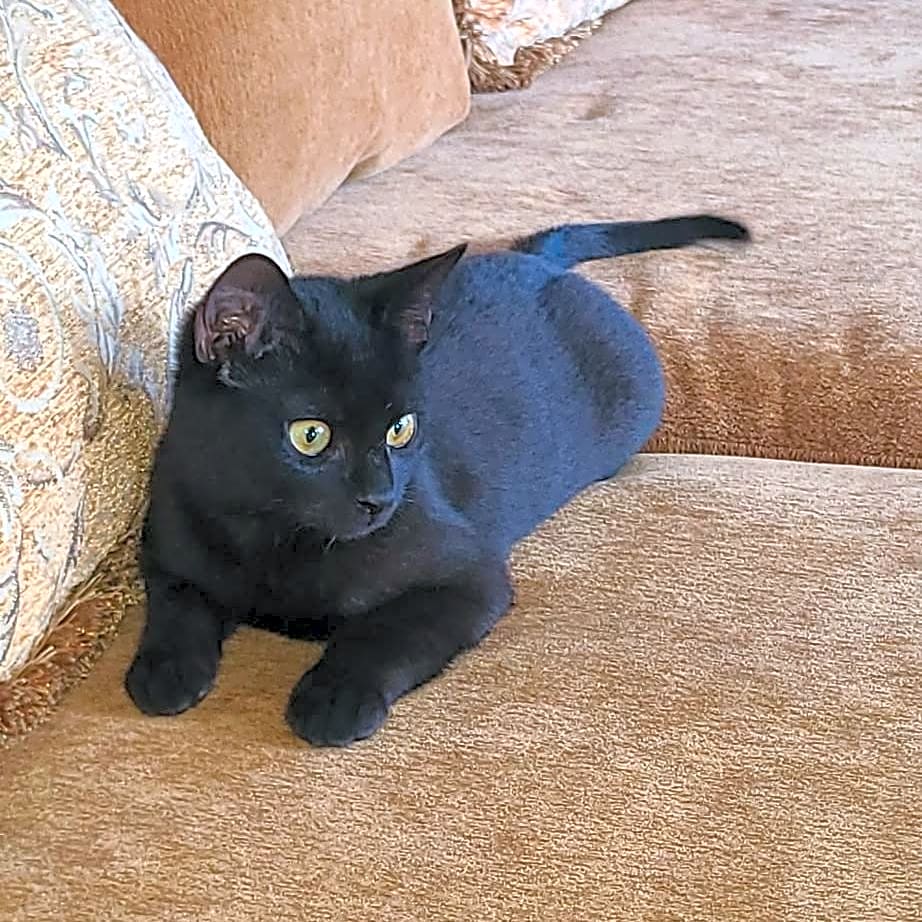 Photo of Boo Baby