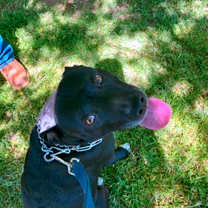 Photo of Riley