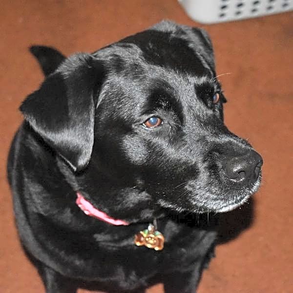 Photo of Katie
