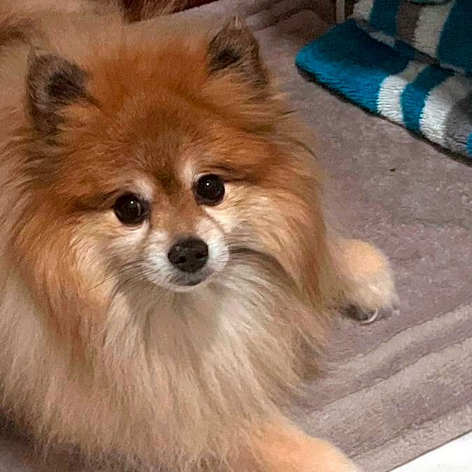 Photo of Zeus