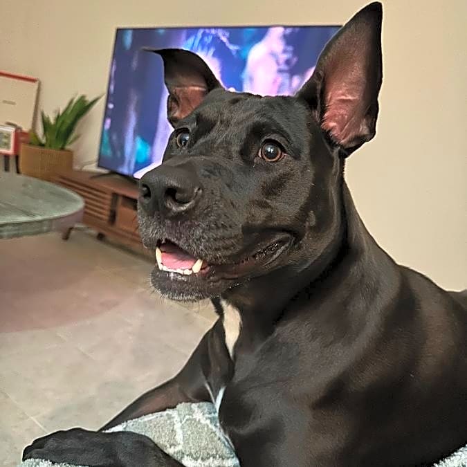 Photo of Zoe