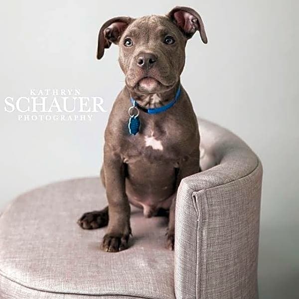 Photo of Blue