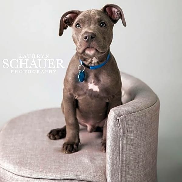 Photo of Blue