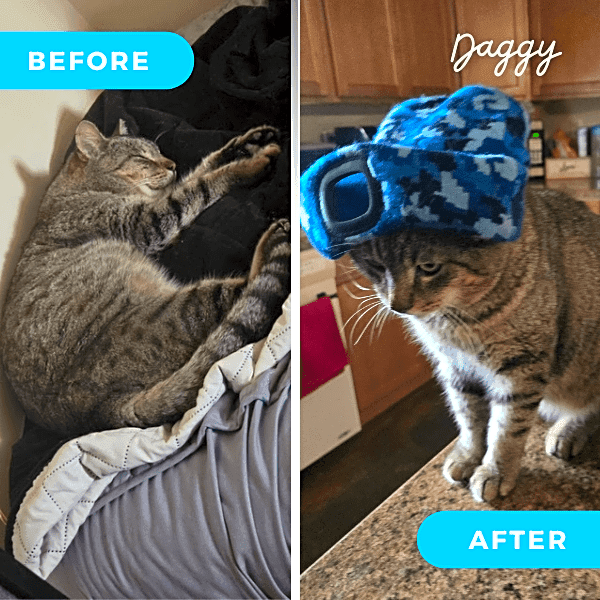 Photo of Daggy