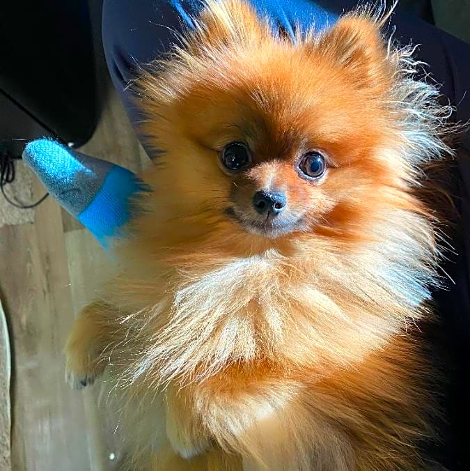 Photo of Winnie