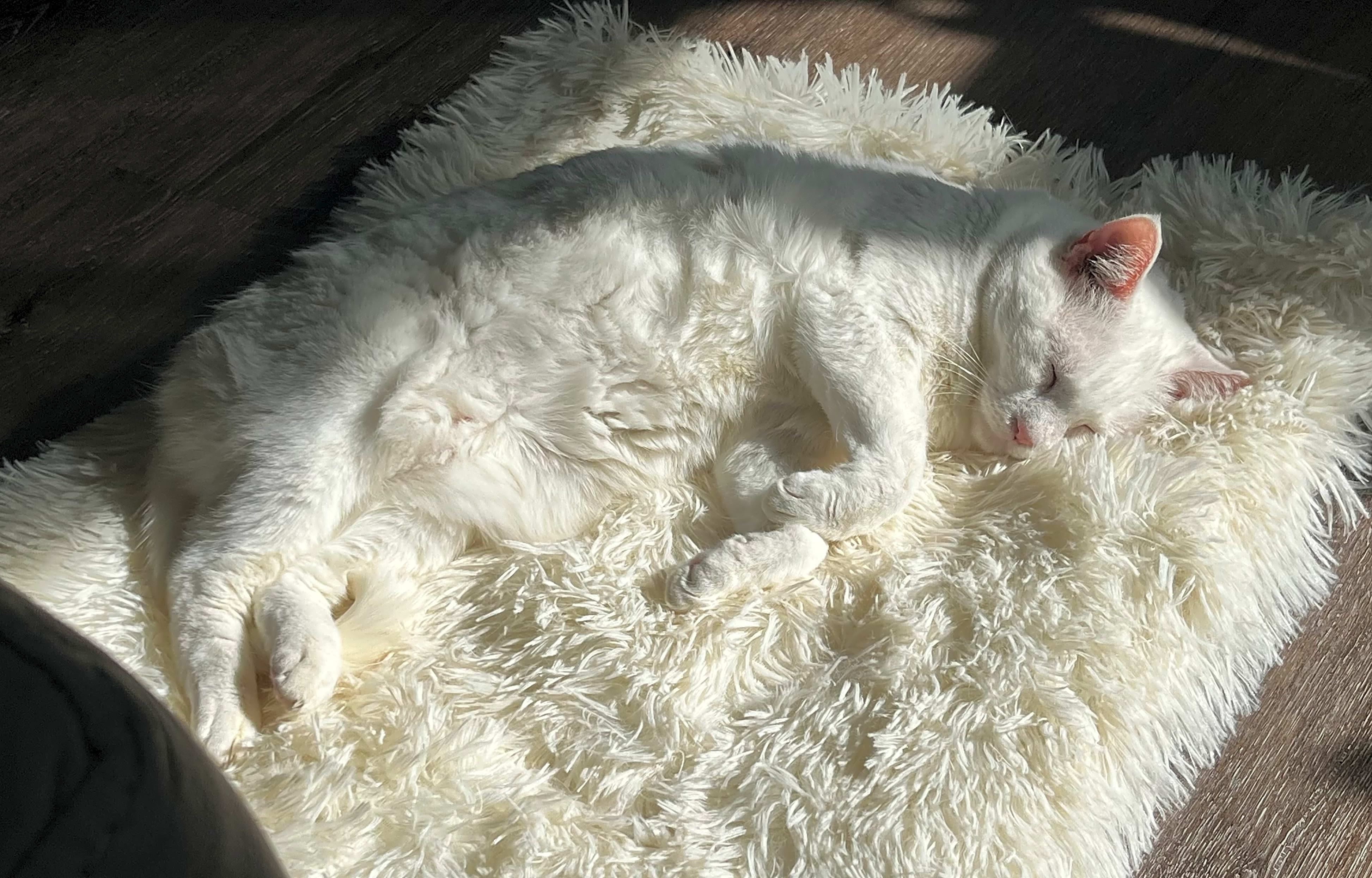 Photo of Blizabeth
