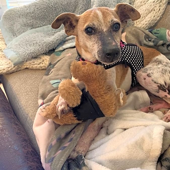 Photo of Maggie