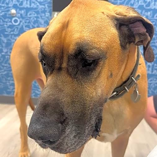 Photo of Tank