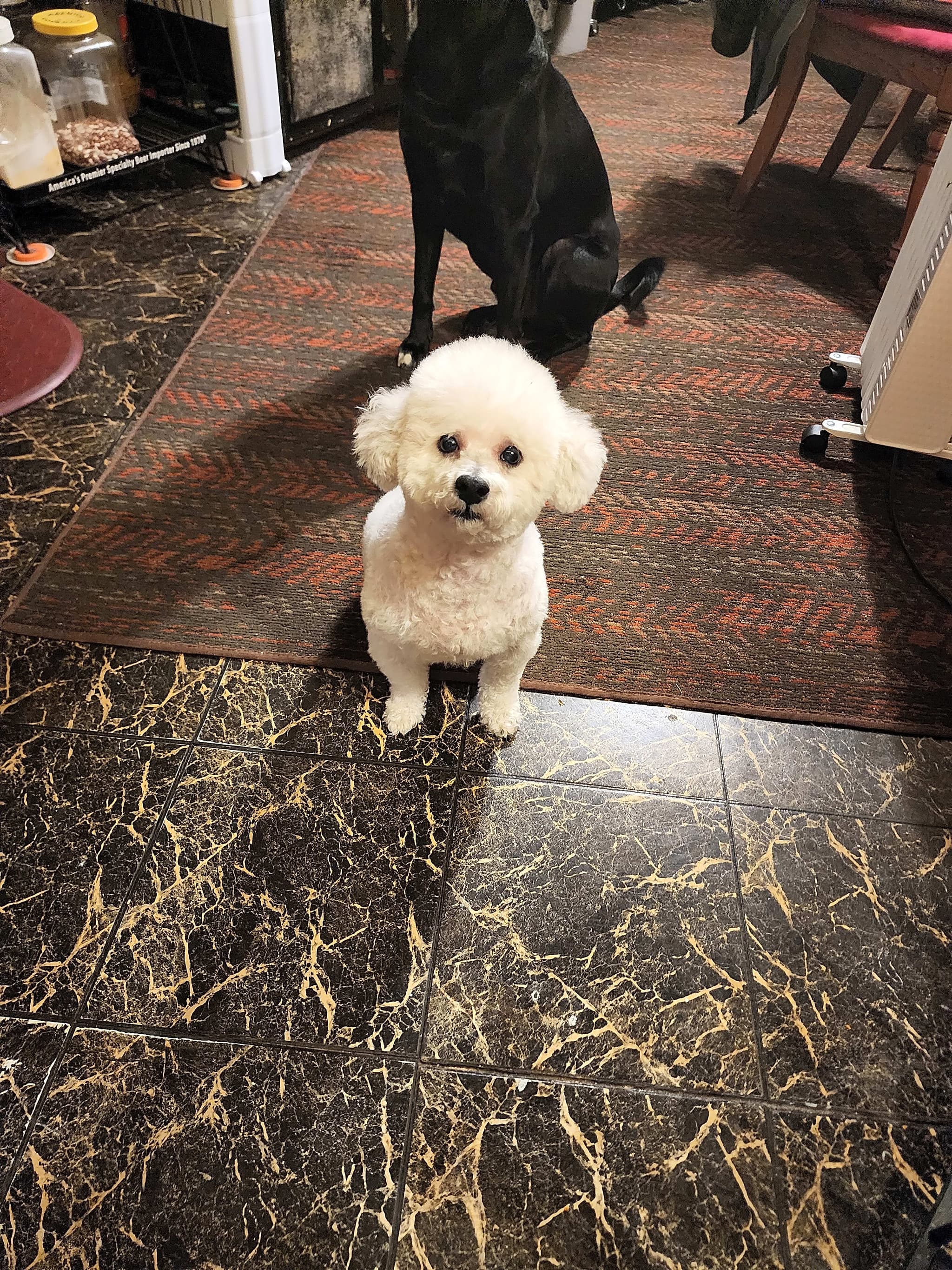 Photo of Charlie