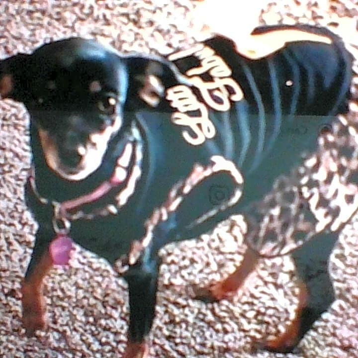 Photo of penny