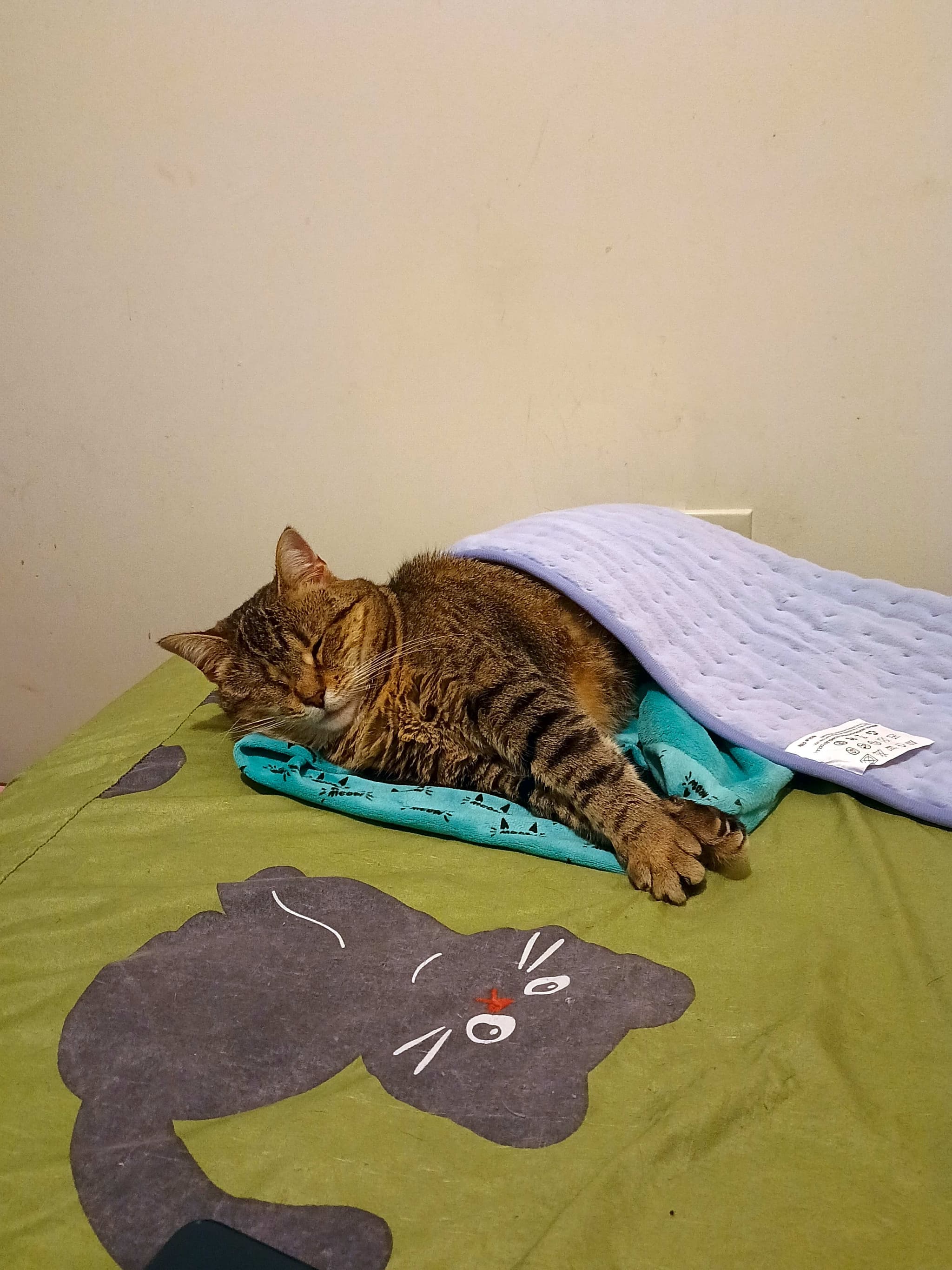 Photo of Little Bit
