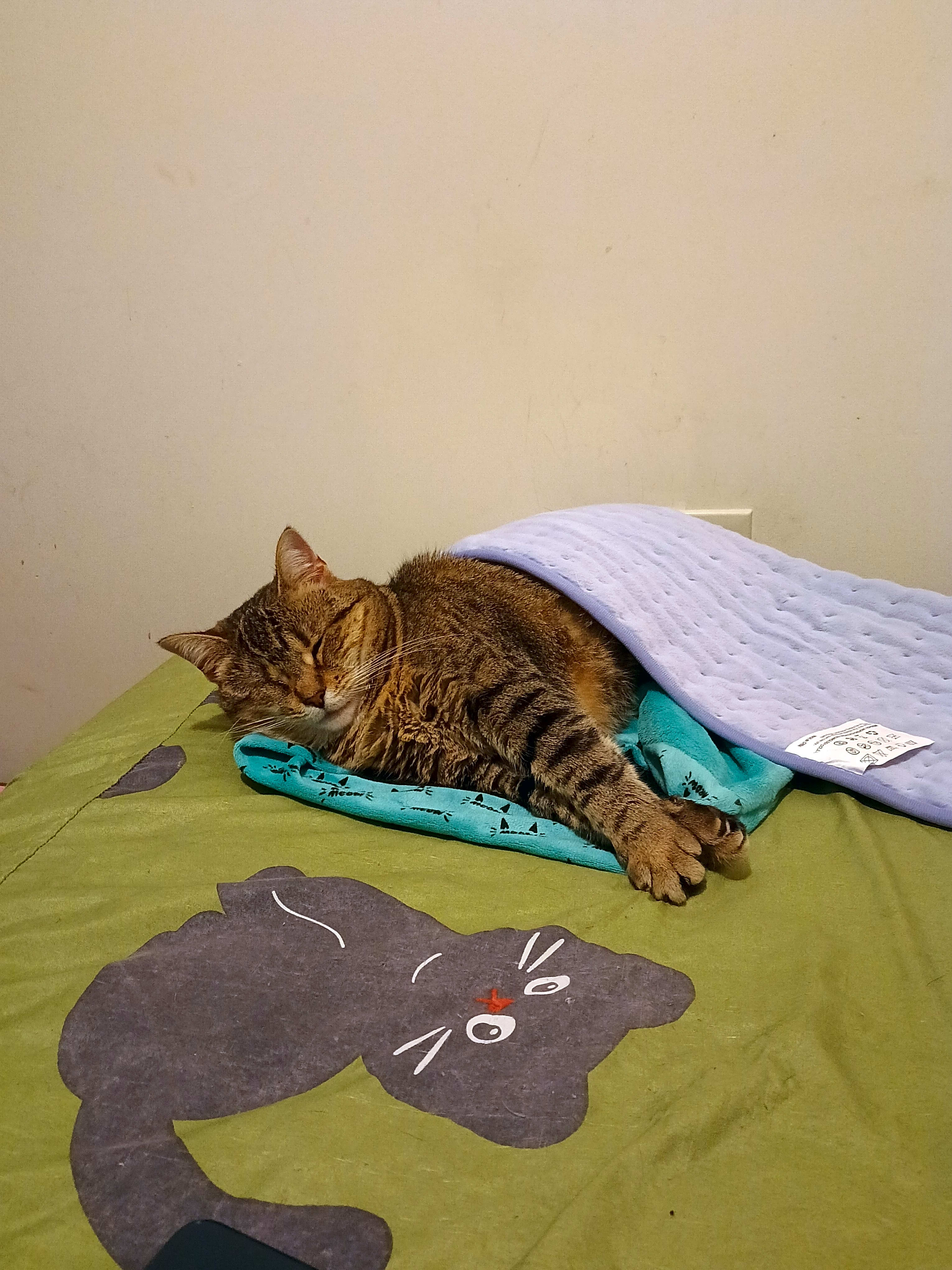 Photo of Little Bit