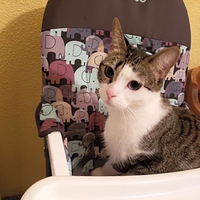 Photo of Itty Bitty