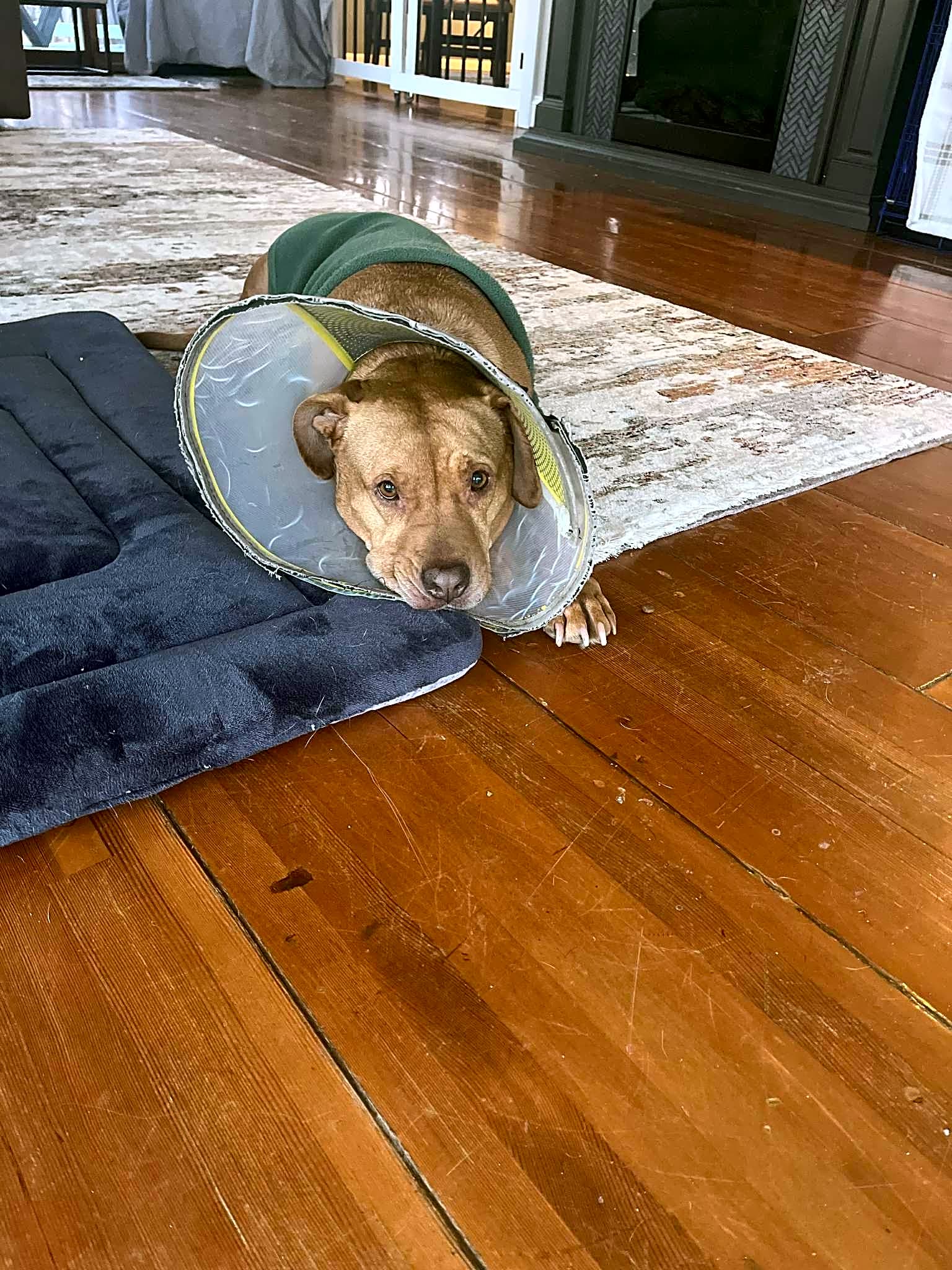 Photo of Sadie Mae