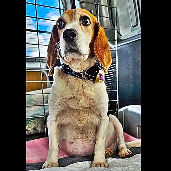 Photo of Stormy