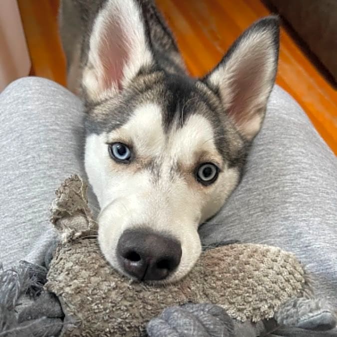 Photo of Roczy