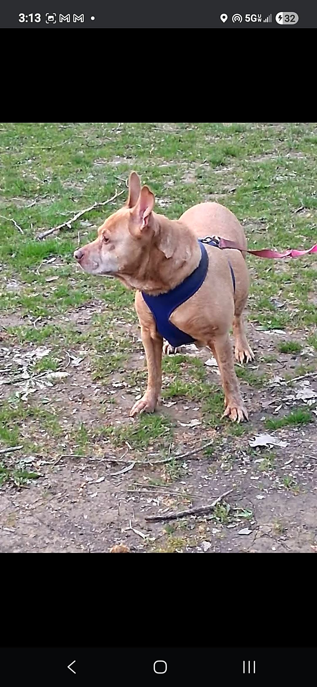 Photo of Kaos