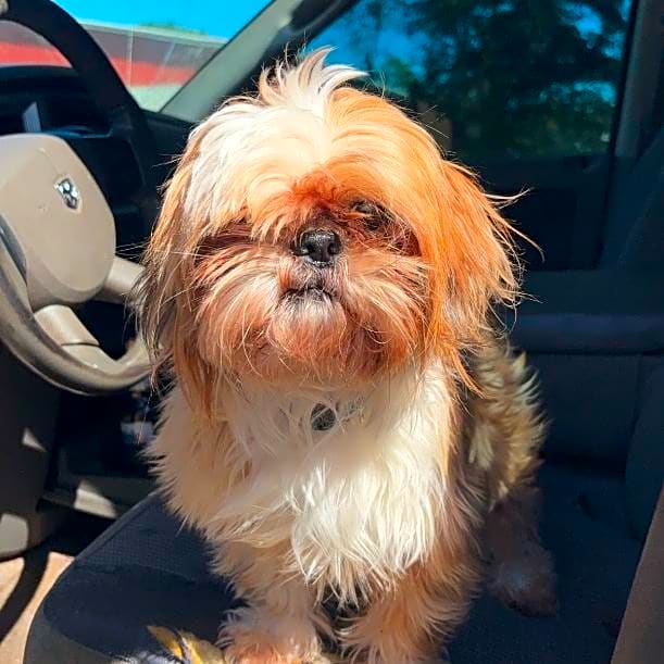 Photo of Ace Boogie