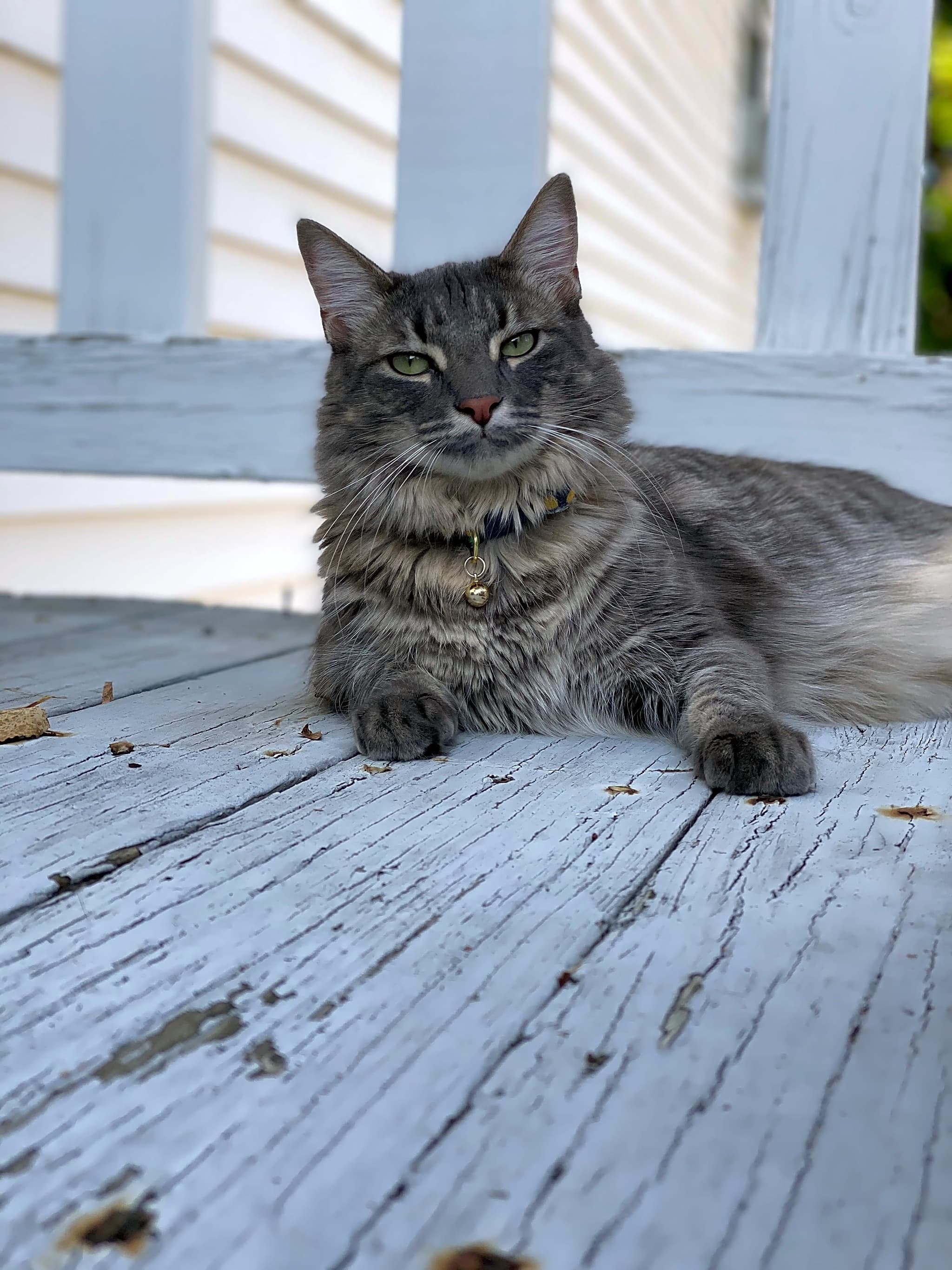 Photo of Oliver