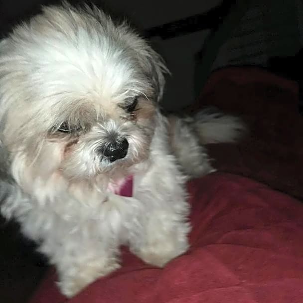 Photo of Sophie