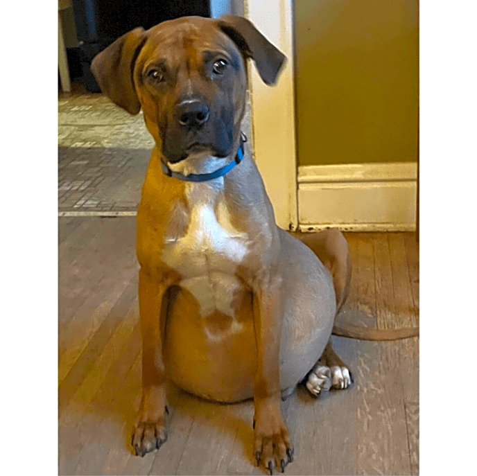 Photo of Duke