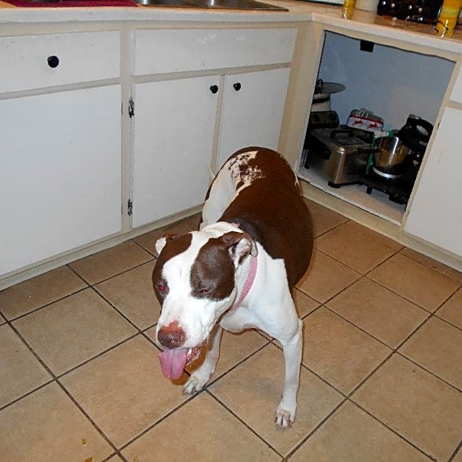 Photo of Zena