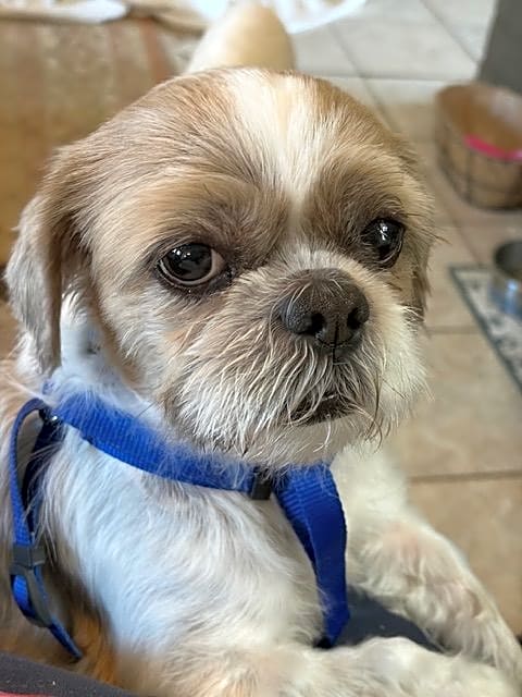 Photo of Mr Sammy