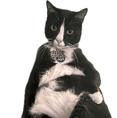 Photo of Zeeke