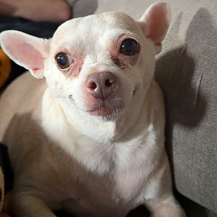Photo of Bubbles