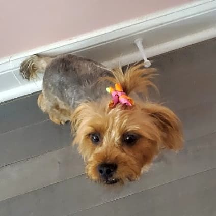 Photo of Coco
