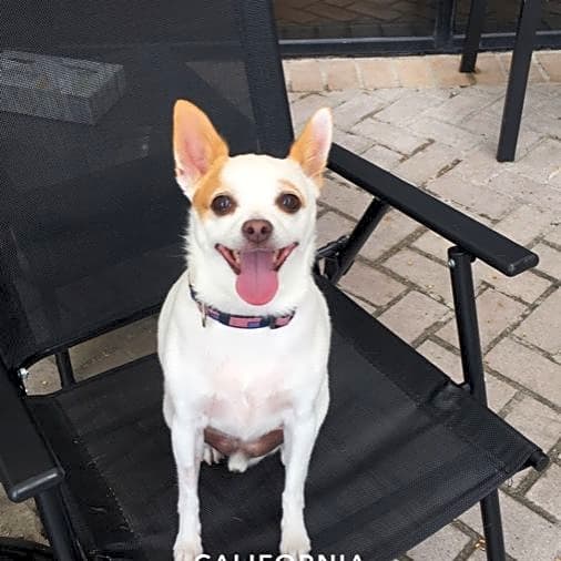 Photo of Ted