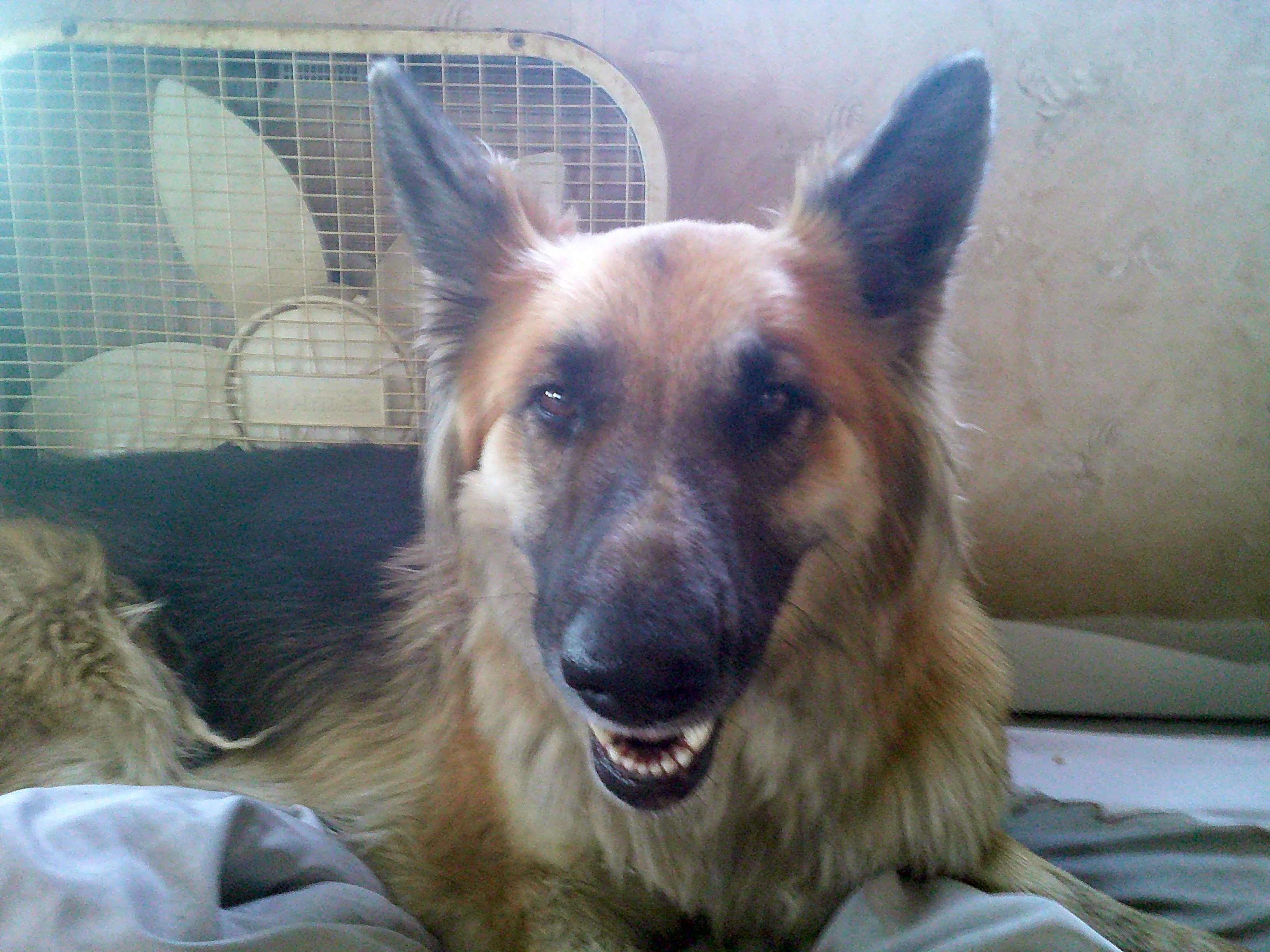 Photo of Lucy