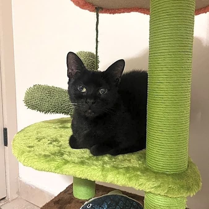 Photo of Tilt