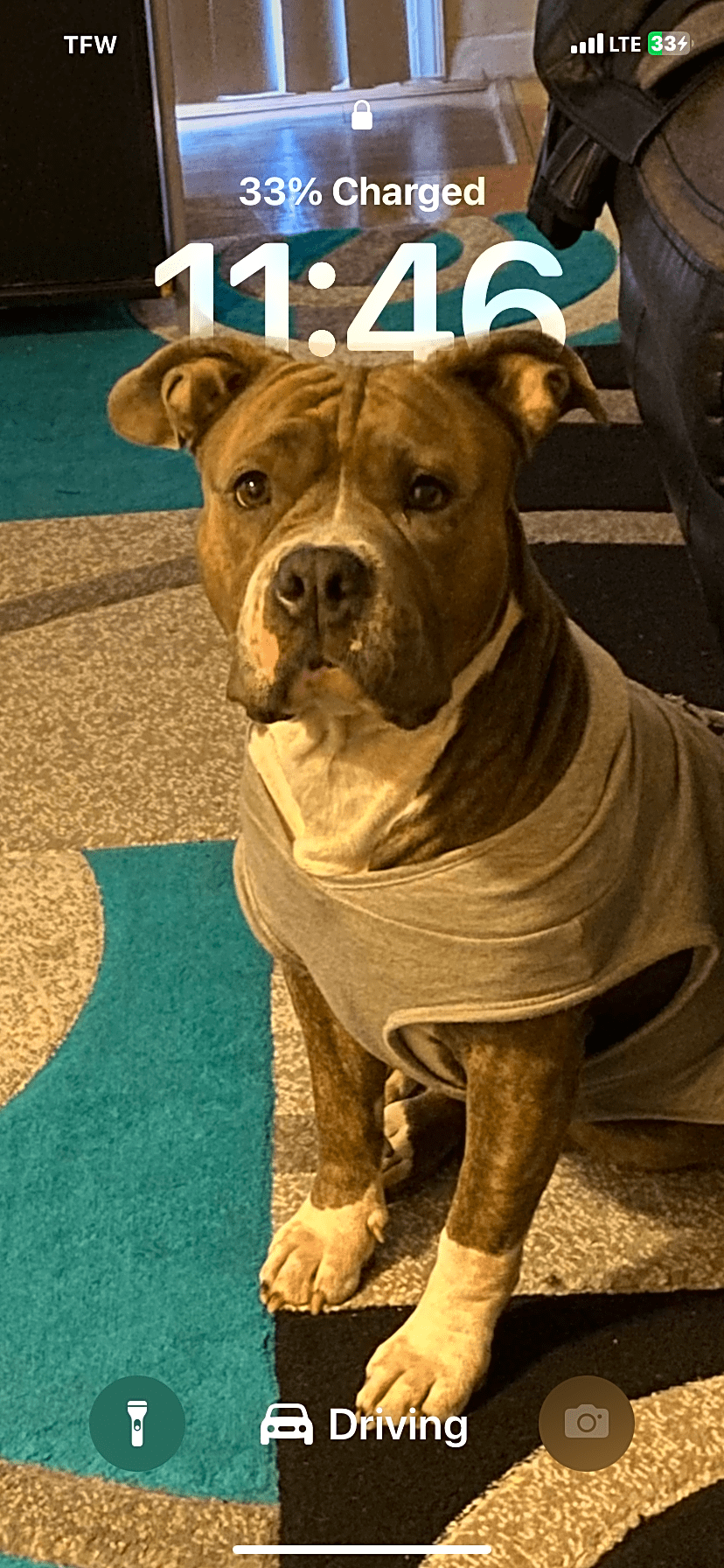 Photo of Coacoa