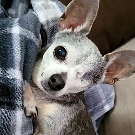 Photo of Jake