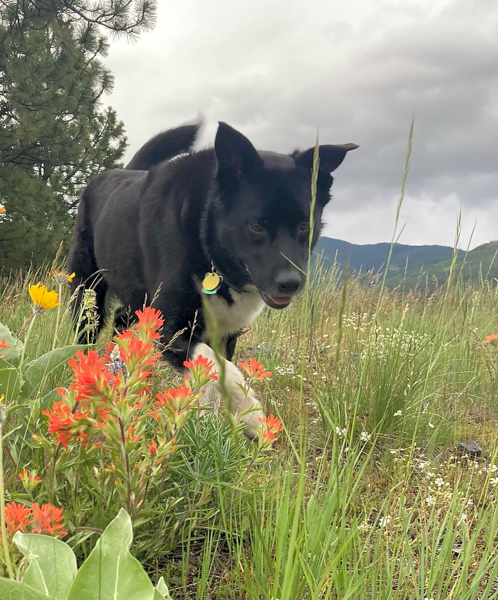 Photo of Kaia