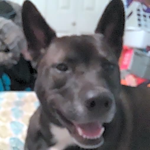 Photo of Hazel