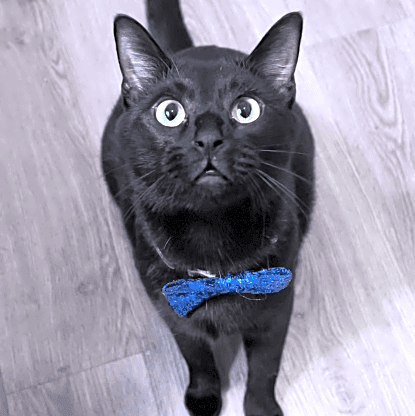 Photo of Buffy