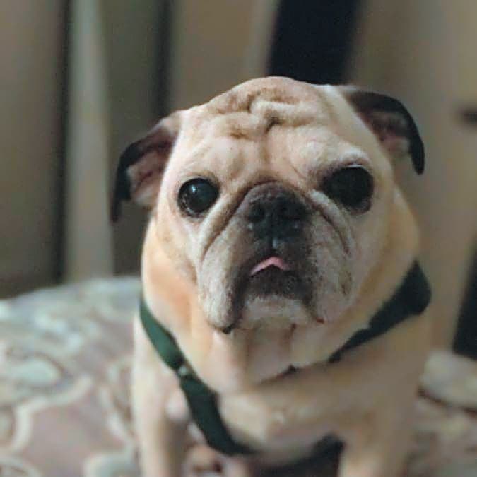 Photo of Blarney