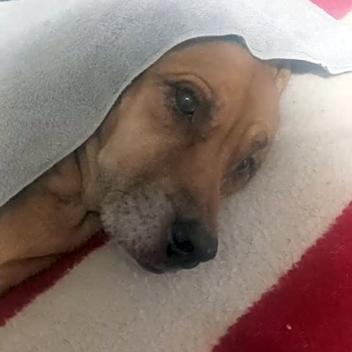 Photo of Maggie