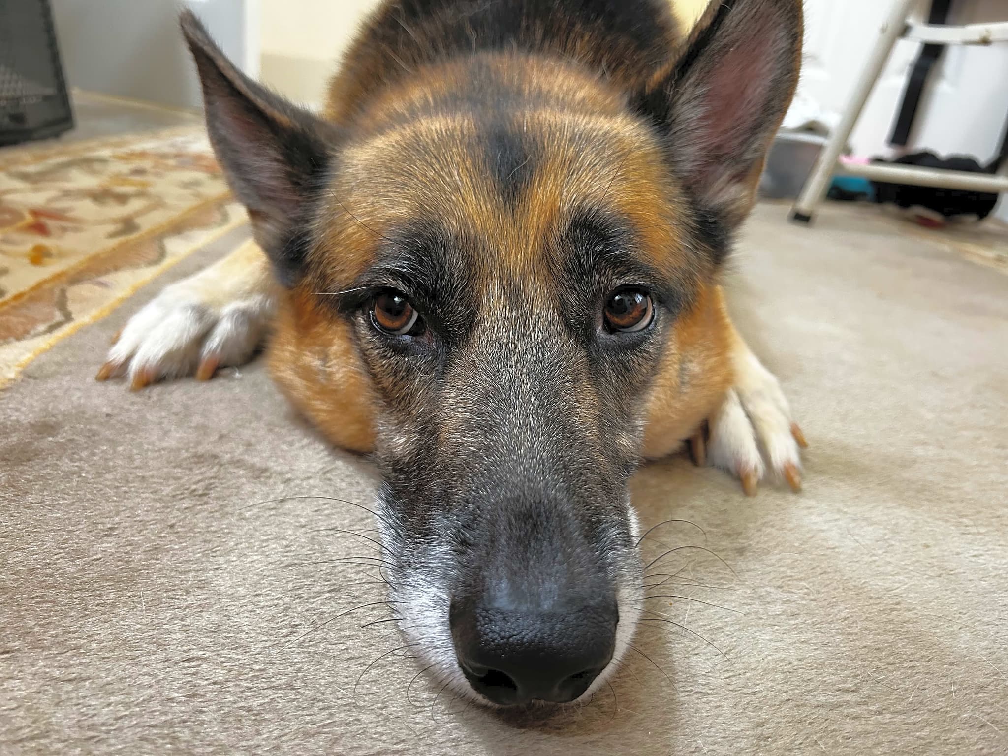 Photo of Luke