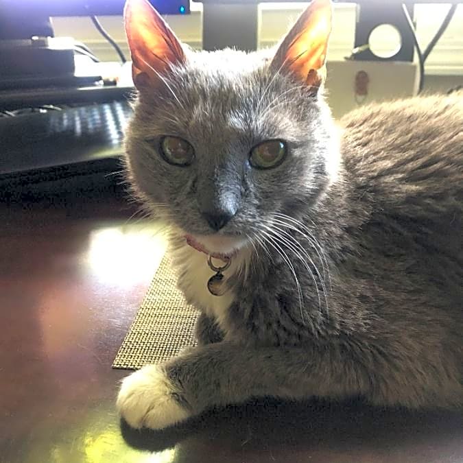 Photo of MuMu