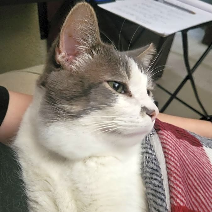 Photo of Toby