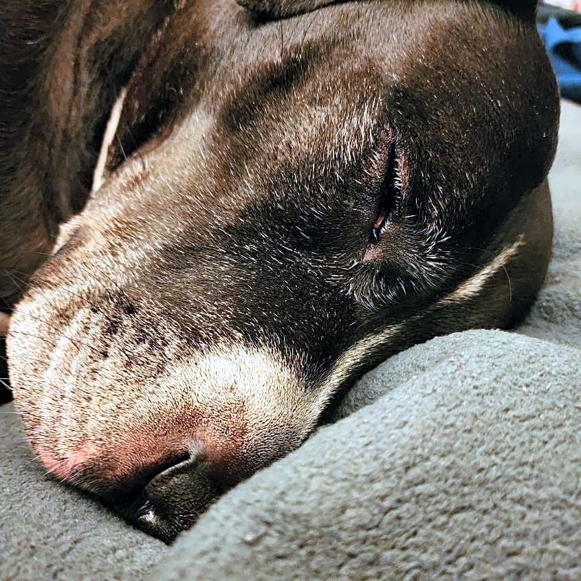 Photo of George