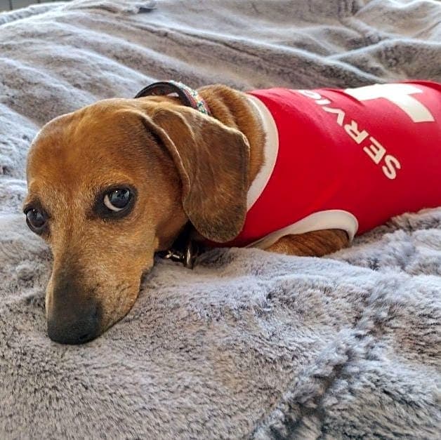 Photo of Olive